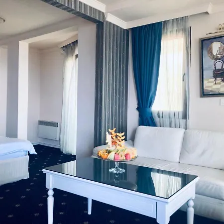 Millenium Palace فندق