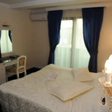 فندق Millenium Palace